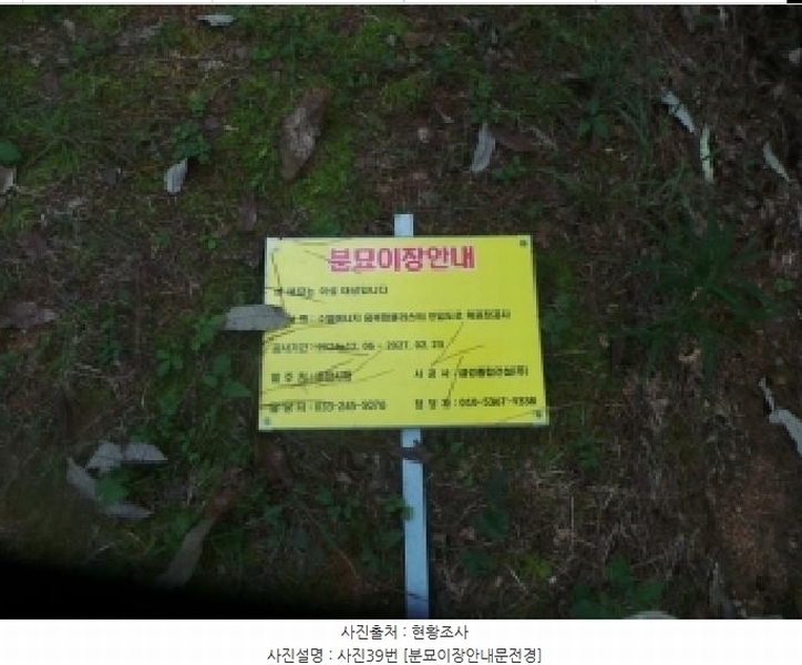 2025타경50916 강원특별자치도 춘천시 동면 장학리 산1-1 임야 경매 이미지