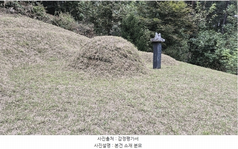 2025타경50916 강원특별자치도 춘천시 동면 장학리 산1-1 임야 경매 이미지