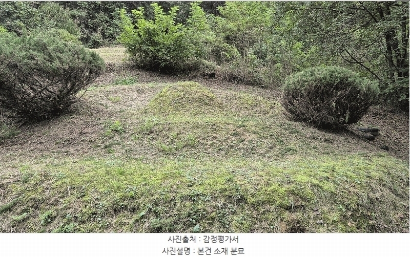 2025타경50916 강원특별자치도 춘천시 동면 장학리 산1-1 임야 경매 이미지
