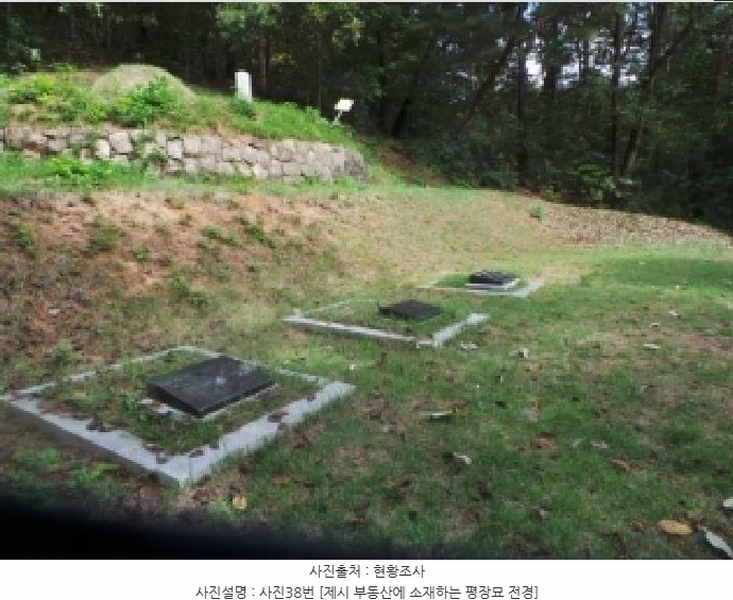 2025타경50916 강원특별자치도 춘천시 동면 장학리 산1-1 임야 경매 이미지