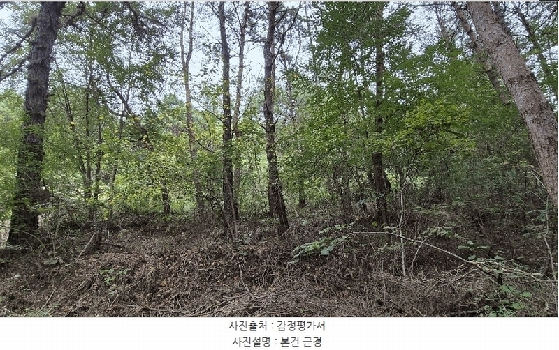 2025타경50916 강원특별자치도 춘천시 동면 장학리 산1-1 임야 경매 이미지