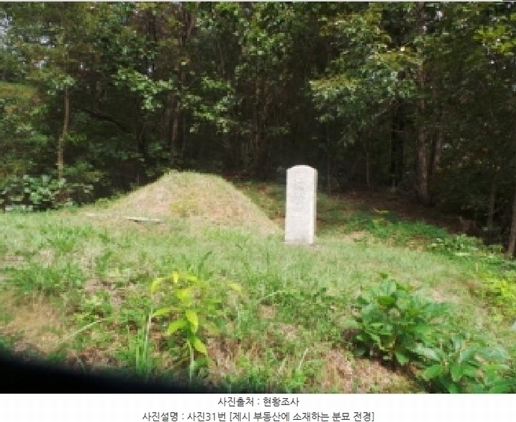 2025타경50916 강원특별자치도 춘천시 동면 장학리 산1-1 임야 경매 이미지