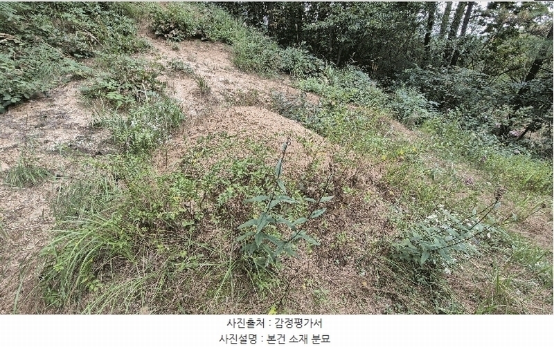 2025타경50916 강원특별자치도 춘천시 동면 장학리 산1-1 임야 경매 이미지