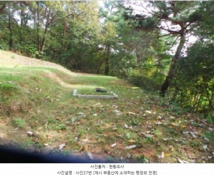 2025타경50916 강원특별자치도 춘천시 동면 장학리 산1-1 임야 경매 이미지