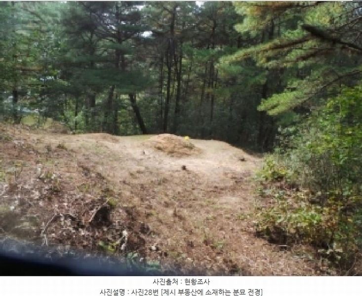 2025타경50916 강원특별자치도 춘천시 동면 장학리 산1-1 임야 경매 이미지