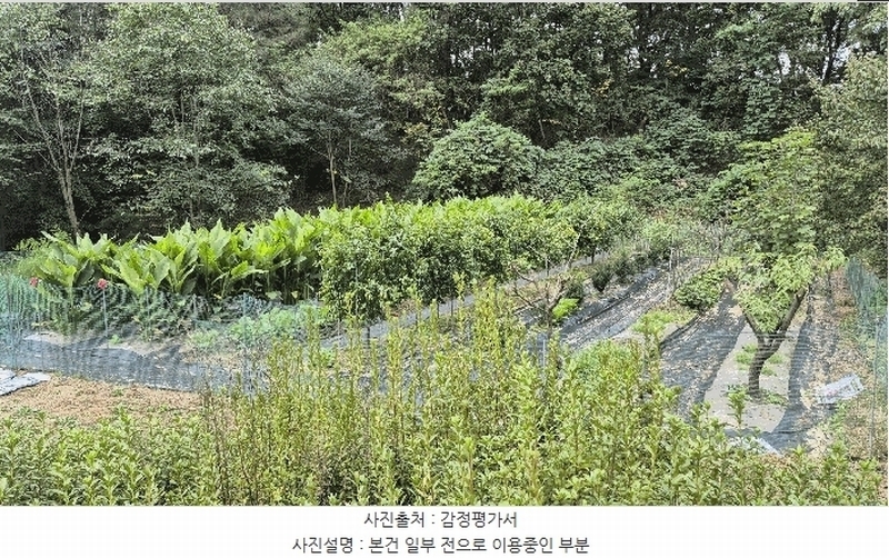 2025타경50916 강원특별자치도 춘천시 동면 장학리 산1-1 임야 경매 이미지