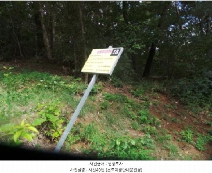 2025타경50916 강원특별자치도 춘천시 동면 장학리 산1-1 임야 경매 이미지