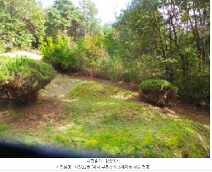 2025타경50916 강원특별자치도 춘천시 동면 장학리 산1-1 임야 경매 이미지