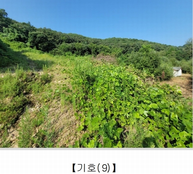 2023타경1643 강원특별자치도 춘천시 남면 박암리 567 농지 경매 이미지