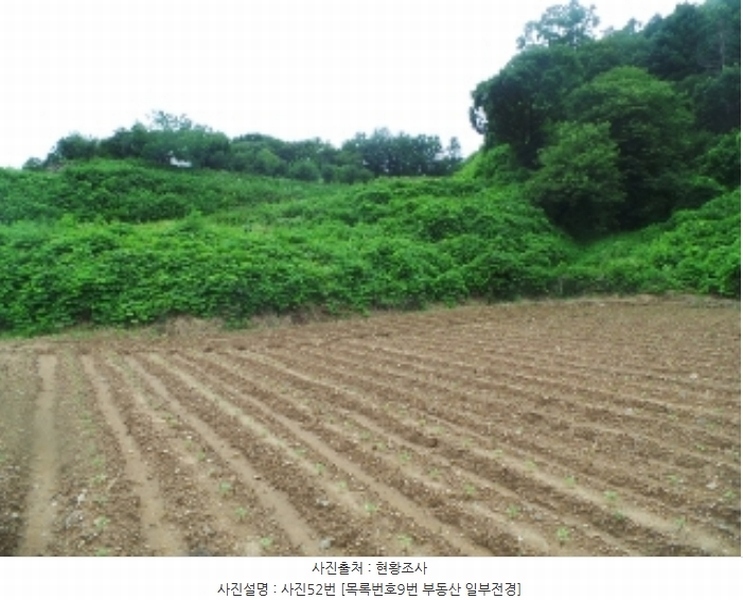 2023타경1643 강원특별자치도 춘천시 남면 박암리 567 농지 경매 이미지