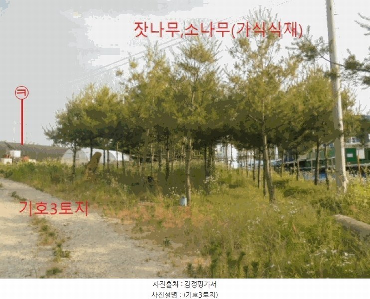 2024타경1763 충청북도 음성군 대소면 성본리 577-2 농지 경매 이미지
