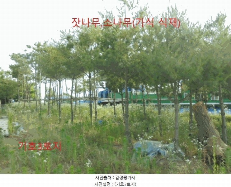 2024타경1763 충청북도 음성군 대소면 성본리 577-2 농지 경매 이미지