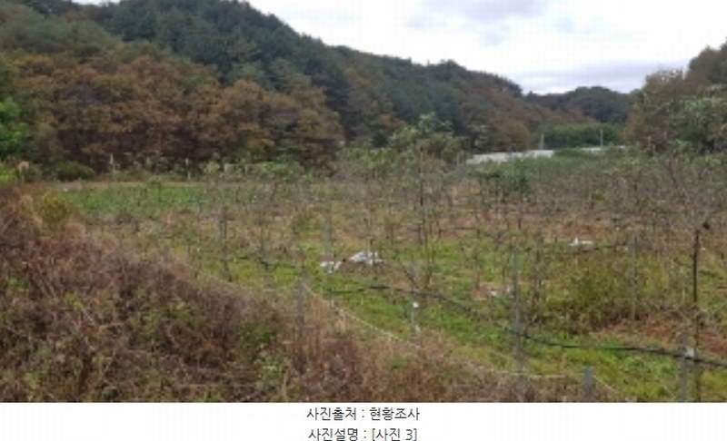 2024타경2643 강원특별자치도 홍천군 영귀미면 개운리 10 농지 경매 이미지