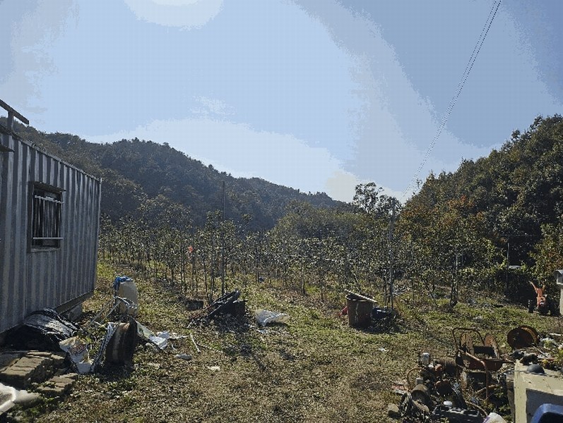 2024타경2643 강원특별자치도 홍천군 영귀미면 개운리 10 농지 경매 이미지