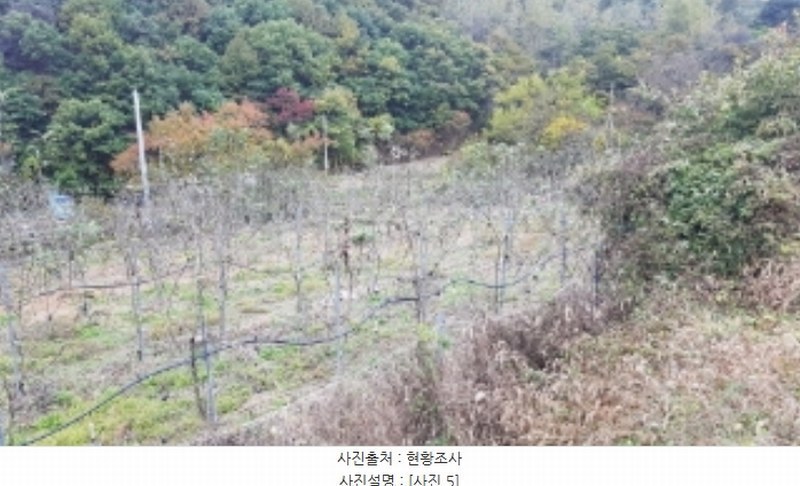 2024타경2643 강원특별자치도 홍천군 영귀미면 개운리 10 농지 경매 이미지