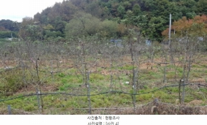 2024타경2643 강원특별자치도 홍천군 영귀미면 개운리 10 농지 경매 이미지