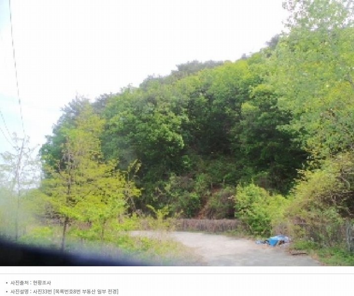 2024타경2704 강원특별자치도 화천군 간동면 구만리 산62-1 임야 경매 이미지