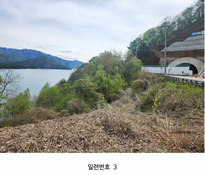 2024타경2704 강원특별자치도 화천군 간동면 구만리 산62-1 임야 경매 이미지