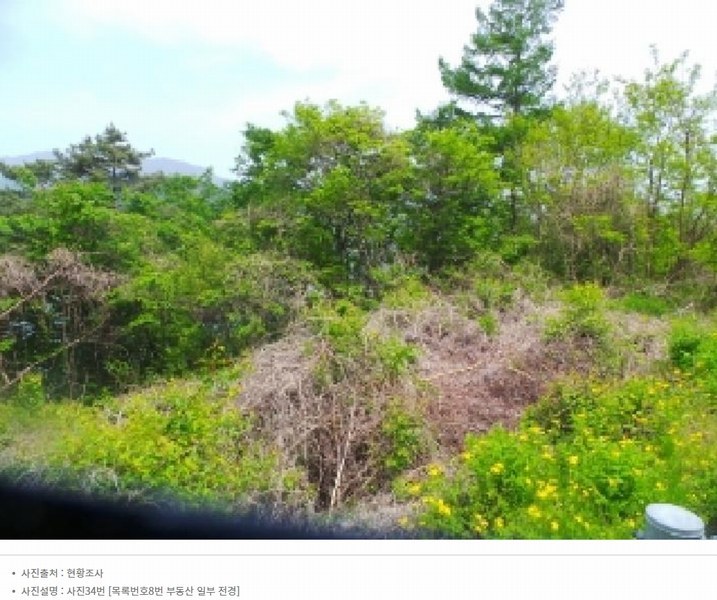 2024타경2704 강원특별자치도 화천군 간동면 구만리 산62-1 임야 경매 이미지
