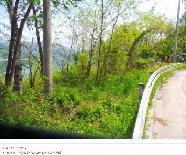 2024타경2704 강원특별자치도 화천군 간동면 구만리 산62-1 임야 경매 이미지