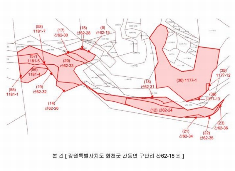 2024타경2704 강원특별자치도 화천군 간동면 구만리 산62-1 임야 경매 이미지
