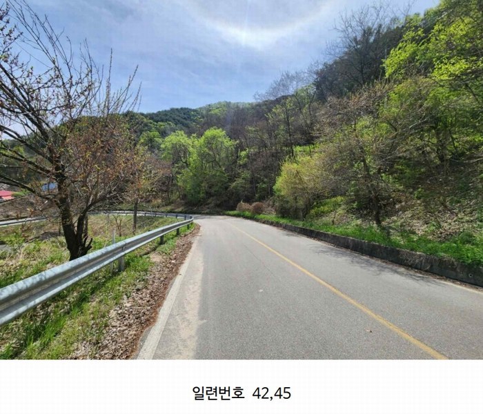 2024타경2704 강원특별자치도 화천군 간동면 구만리 산62-1 임야 경매 이미지