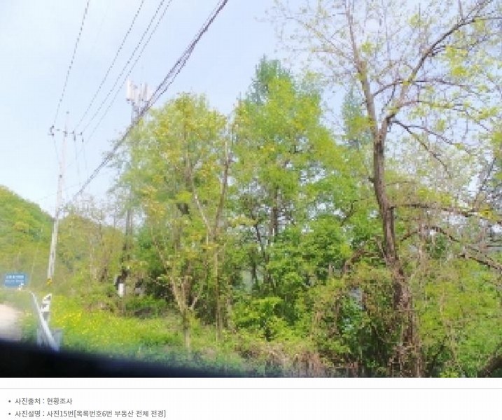 2024타경2704 강원특별자치도 화천군 간동면 구만리 산62-1 임야 경매 이미지