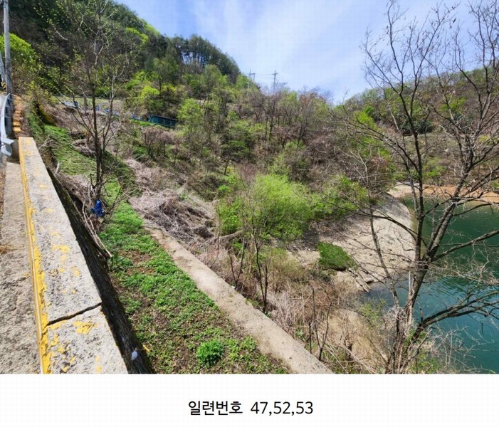 2024타경2704 강원특별자치도 화천군 간동면 구만리 산62-1 임야 경매 이미지
