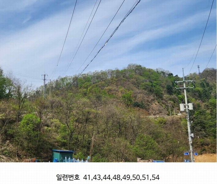 2024타경2704 강원특별자치도 화천군 간동면 구만리 산62-1 임야 경매 이미지
