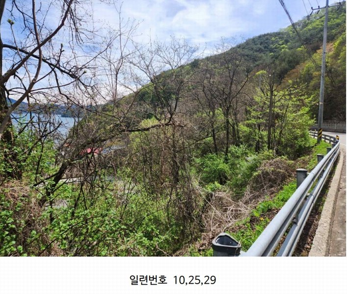 2024타경2704 강원특별자치도 화천군 간동면 구만리 산62-1 임야 경매 이미지