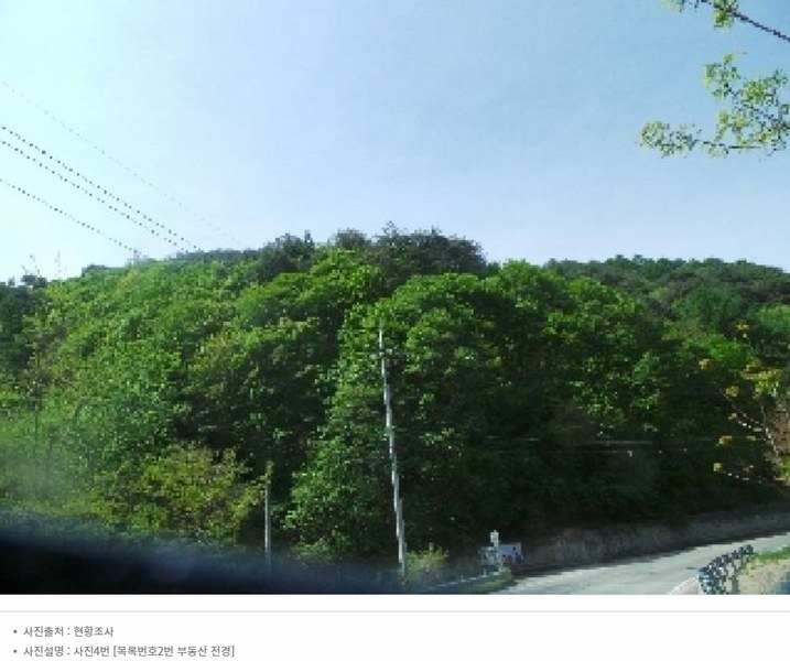 2024타경2704 강원특별자치도 화천군 간동면 구만리 산62-1 임야 경매 이미지