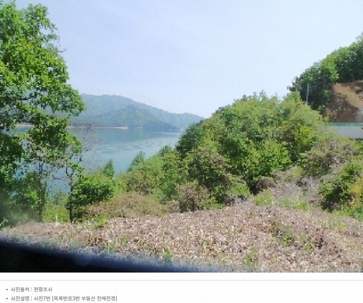 2024타경2704 강원특별자치도 화천군 간동면 구만리 산62-1 임야 경매 이미지