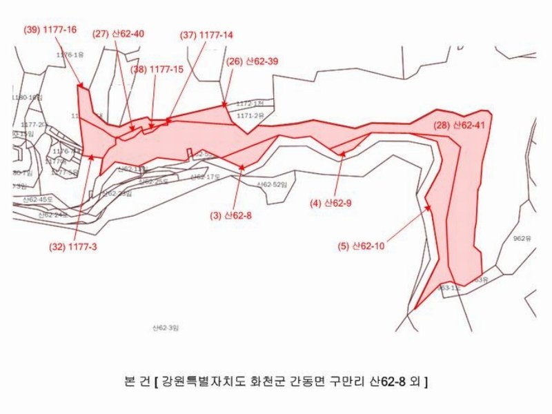 2024타경2704 강원특별자치도 화천군 간동면 구만리 산62-1 임야 경매 이미지