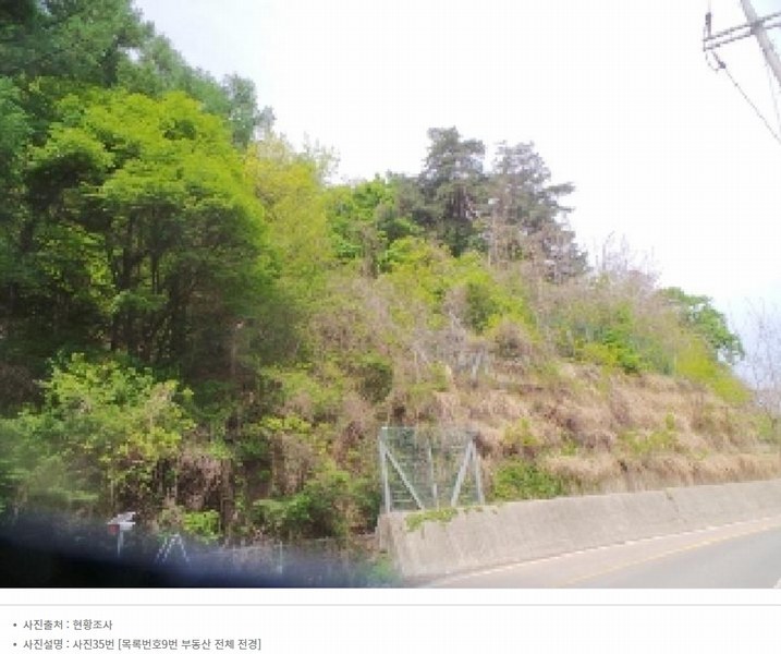 2024타경2704 강원특별자치도 화천군 간동면 구만리 산62-1 임야 경매 이미지