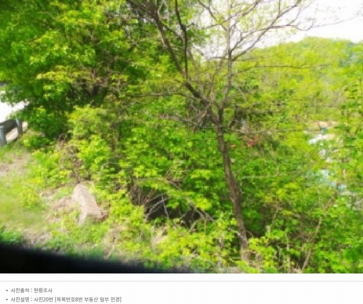 2024타경2704 강원특별자치도 화천군 간동면 구만리 산62-1 임야 경매 이미지