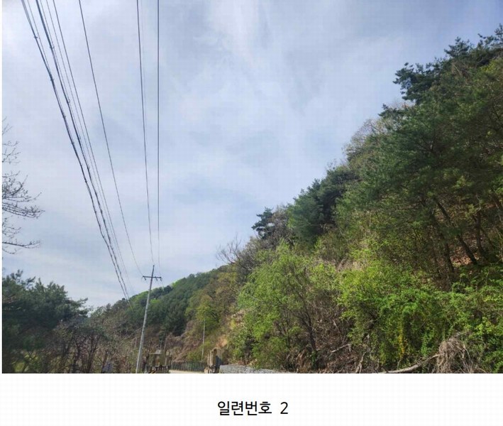 2024타경2704 강원특별자치도 화천군 간동면 구만리 산62-1 임야 경매 이미지