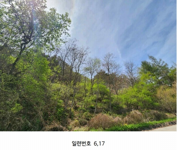 2024타경2704 강원특별자치도 화천군 간동면 구만리 산62-1 임야 경매 이미지