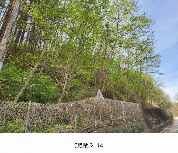 2024타경2704 강원특별자치도 화천군 간동면 구만리 산62-1 임야 경매 이미지