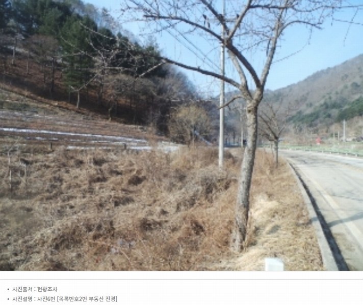 2024타경50222 강원특별자치도 인제군 상남면 미산리 747-3 농지 경매 이미지