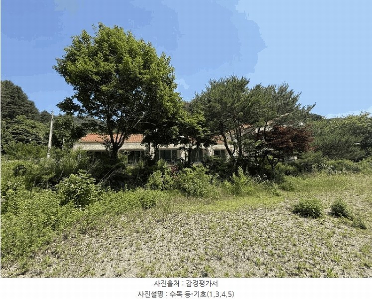 2024타경54002 강원특별자치도 춘천시 남면 발산리 774 숙박시설 경매 이미지