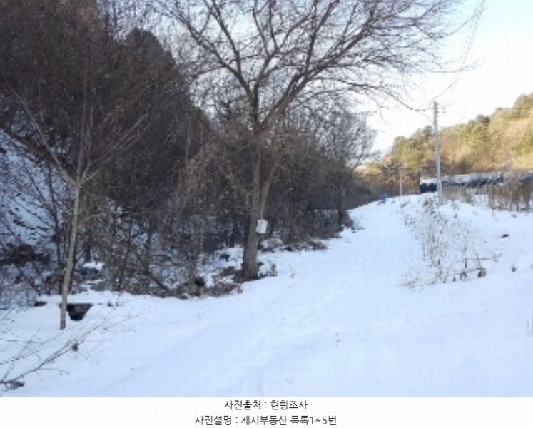 2024타경56114 강원특별자치도 화천군 상서면 부촌리 1124 농지 경매 이미지