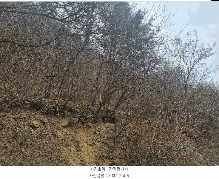 2024타경56114 강원특별자치도 화천군 상서면 부촌리 1124 농지 경매 이미지