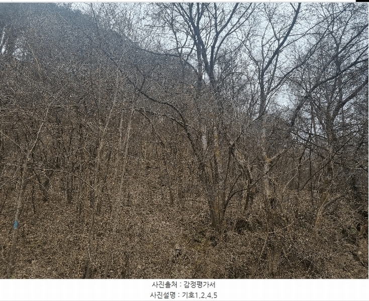 2024타경56114 강원특별자치도 화천군 상서면 부촌리 1124 농지 경매 이미지