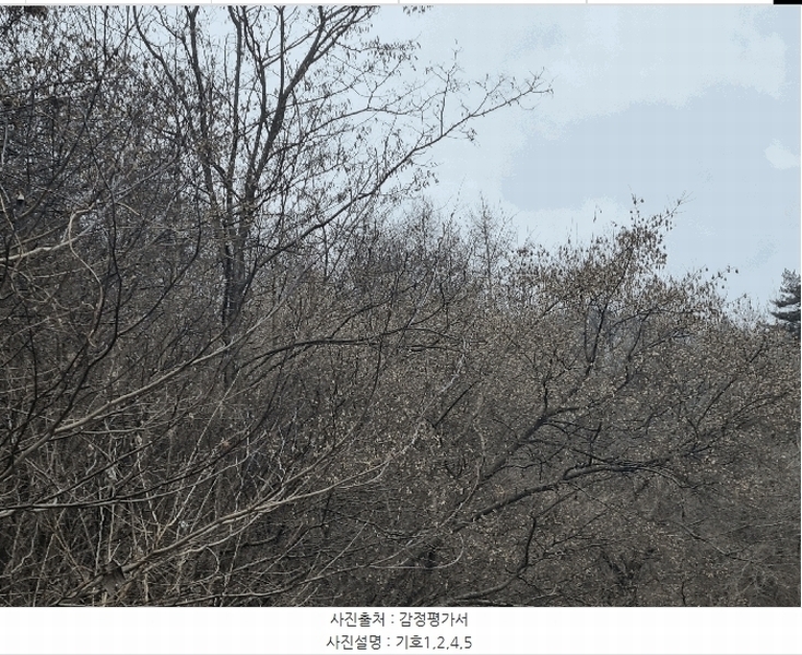 2024타경56114 강원특별자치도 화천군 상서면 부촌리 1124 농지 경매 이미지