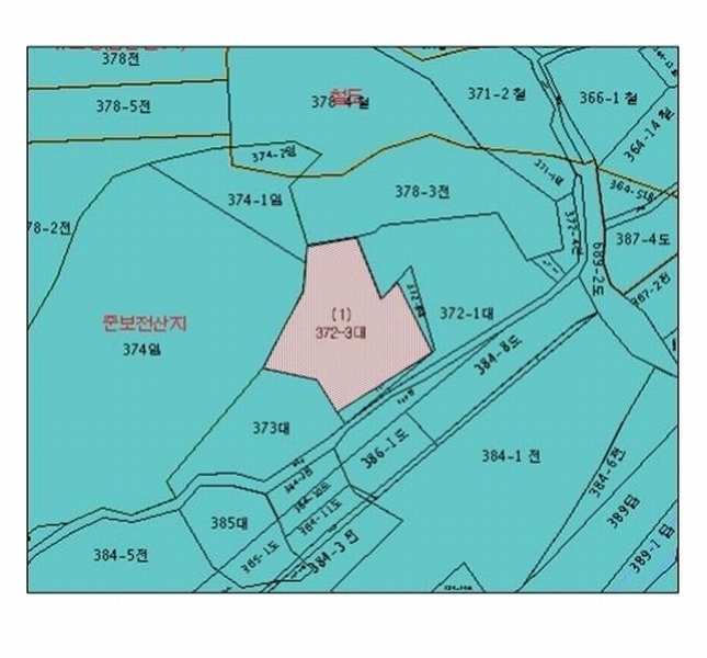 2025타경19 강원특별자치도 춘천시 남산면 강촌리 372-3 주택 경매 이미지