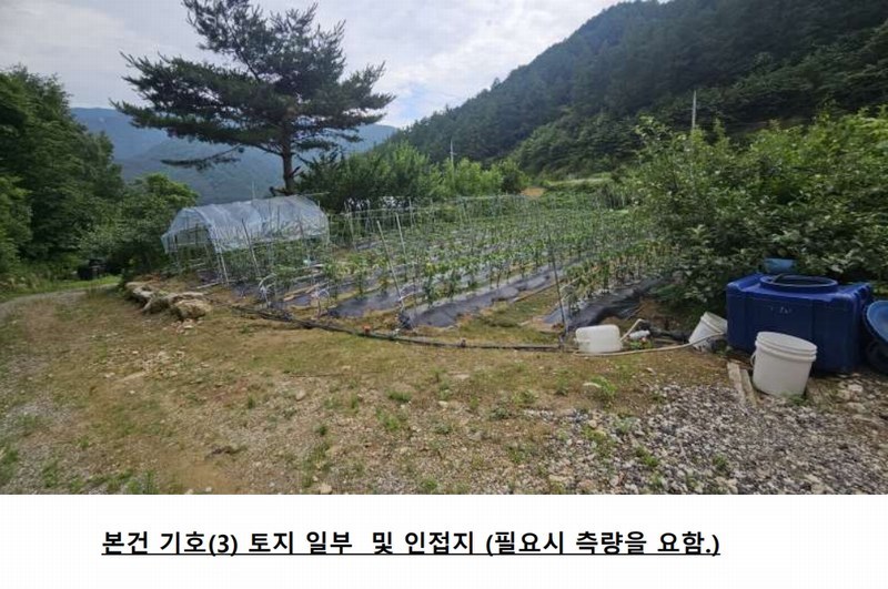 2025타경1142 강원특별자치도 인제군 북면 용대리 1437-1 주택 경매 이미지