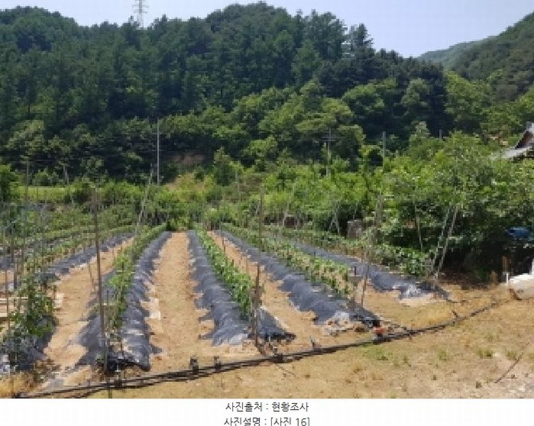 2025타경1142 강원특별자치도 인제군 북면 용대리 1437-1 주택 경매 이미지