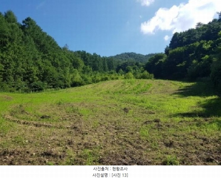 2025타경1180 강원특별자치도 인제군 인제읍 덕적리 310 농지 경매 이미지