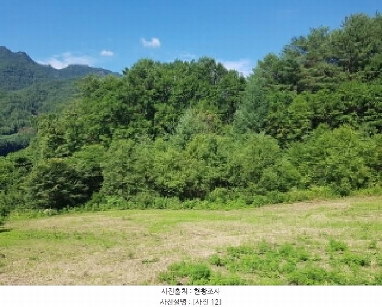 2025타경1180 강원특별자치도 인제군 인제읍 덕적리 310 농지 경매 이미지