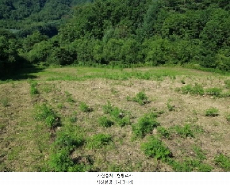2025타경1180 강원특별자치도 인제군 인제읍 덕적리 310 농지 경매 이미지